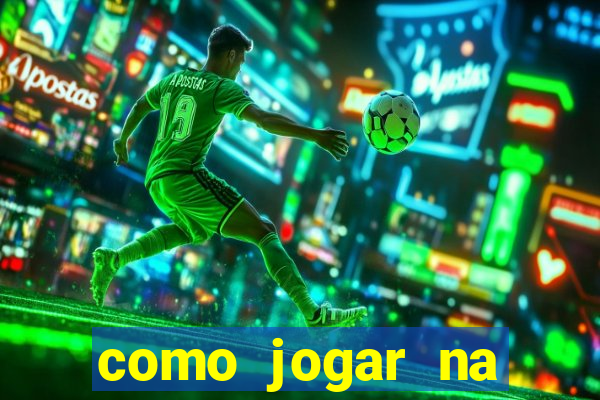 como jogar na lotinha do jogo do bicho